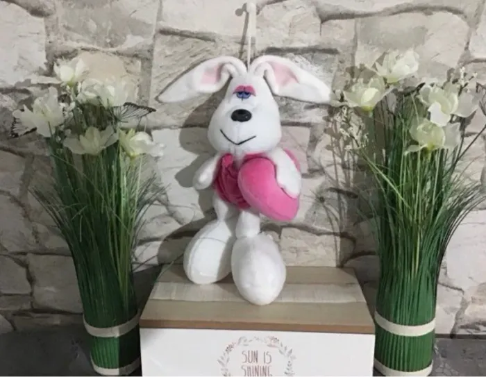 Lapin eluz