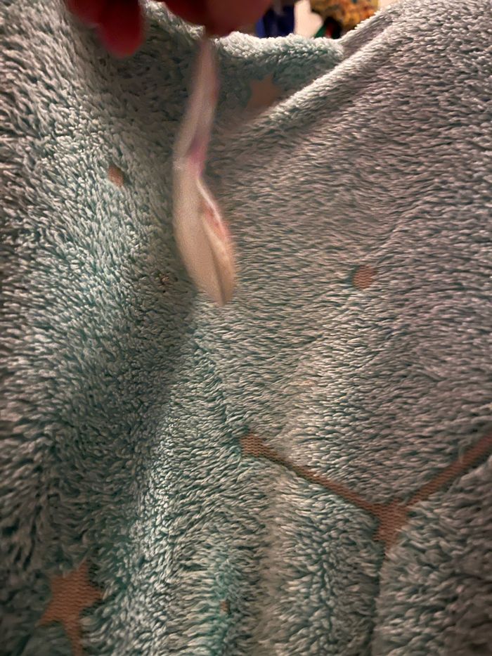 Bouillotte de main - photo numéro 3