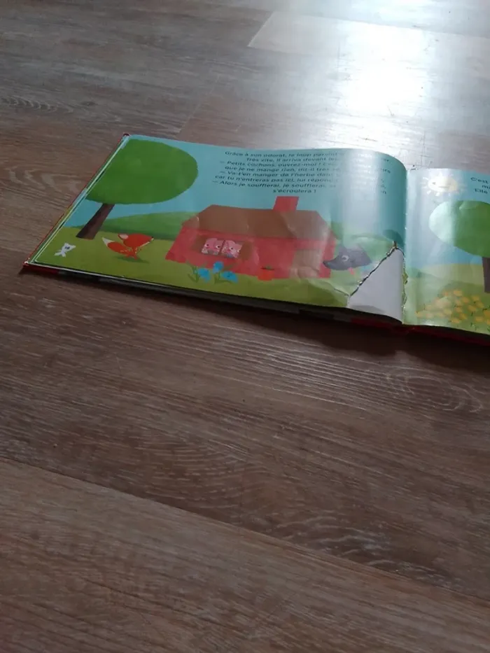 Les trois petits cochons - photo numéro 6