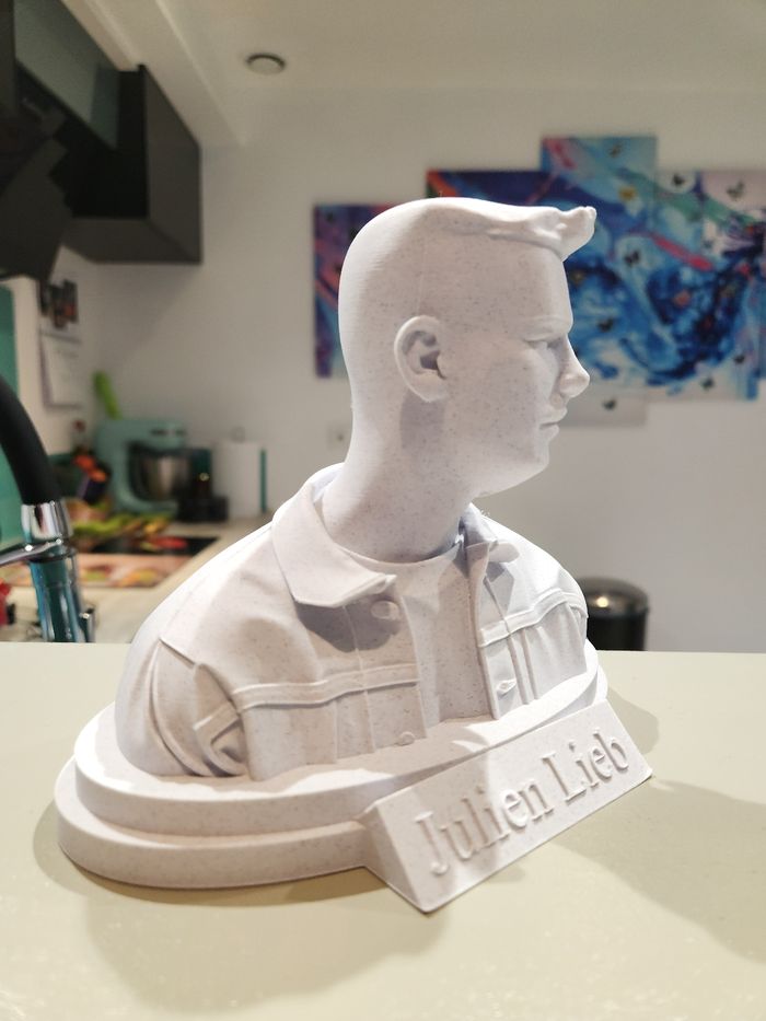 🎶 Star Académie – Julien Lieb – Buste collector – Figurine décorative - photo numéro 5