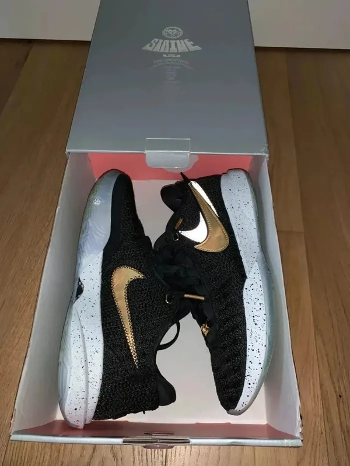 Nike Lebron XX basketball shoes taille 41