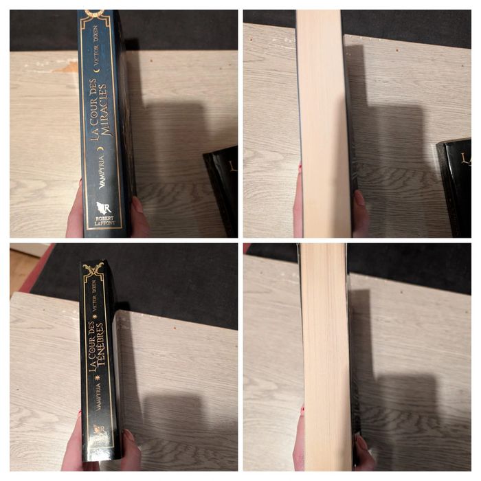 Vampyria - tomes 1&2 - photo numéro 3