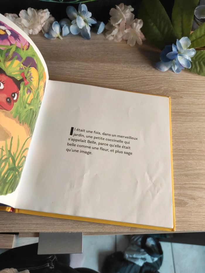 Belle la coccinelle – Drôles de Petites Bêtes – Gallimard Jeunesse - photo numéro 5