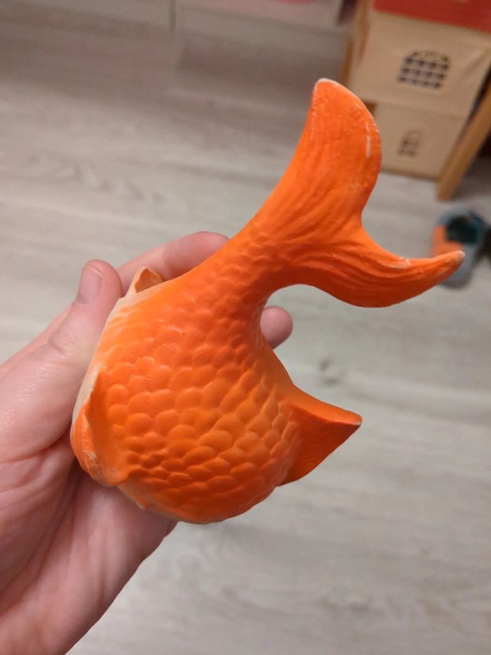 Poisson - photo numéro 10