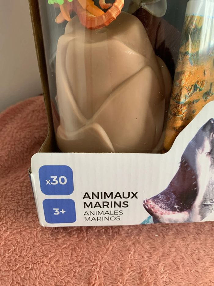 30 animaux marins - photo numéro 2