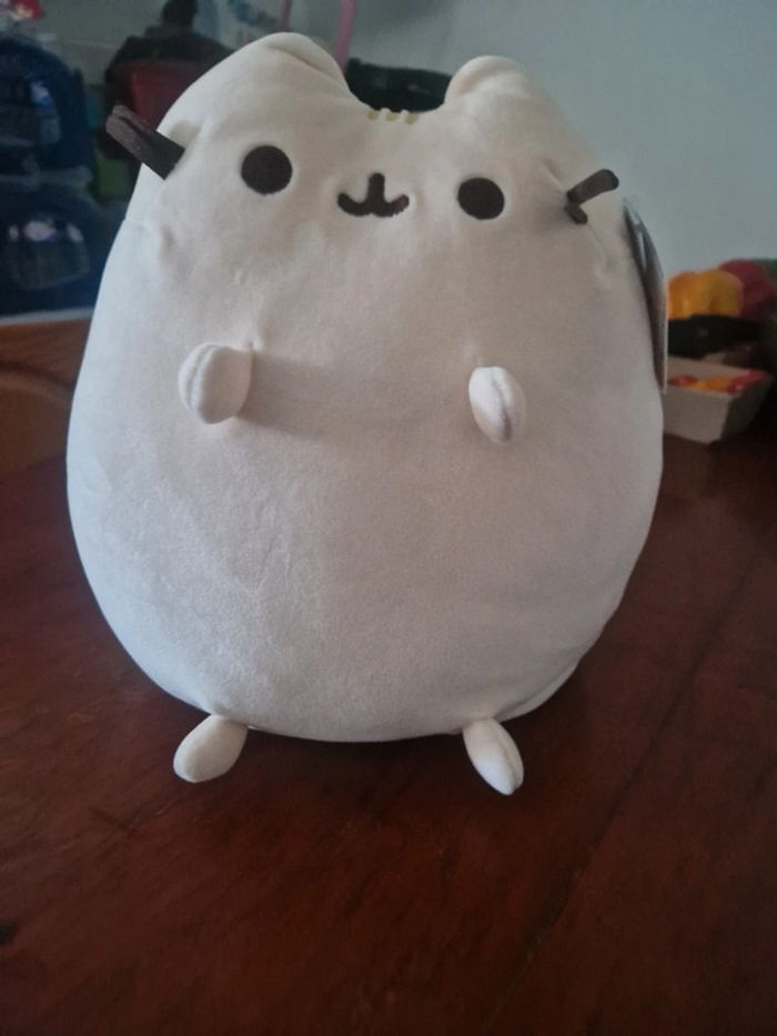 Peluche pusheen