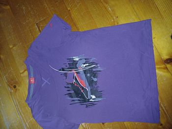 Puma manchecourte