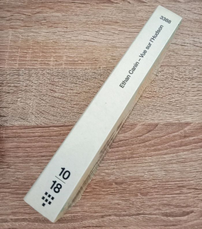 Ethan Canin 🪅 Vue sur l'Hudson - photo numéro 3