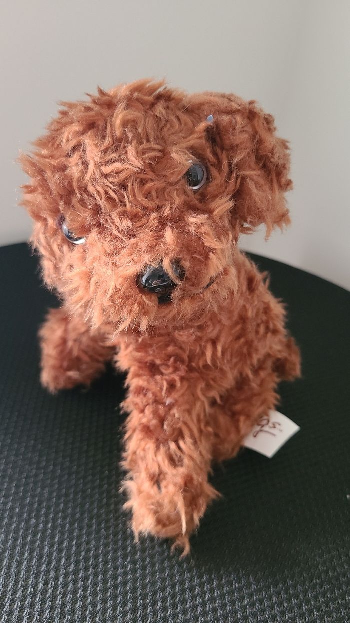 Nintendogs - photo numéro 2