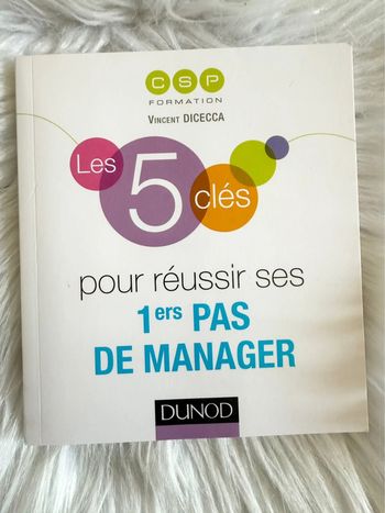 Les 5 clés pour réussir ses 1ers pas de manager – Vincent Dicecca – Dunod