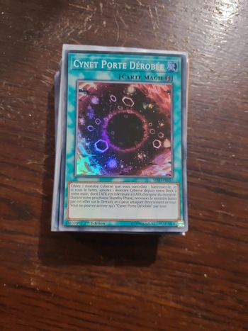 Carte cynet porte dérobée