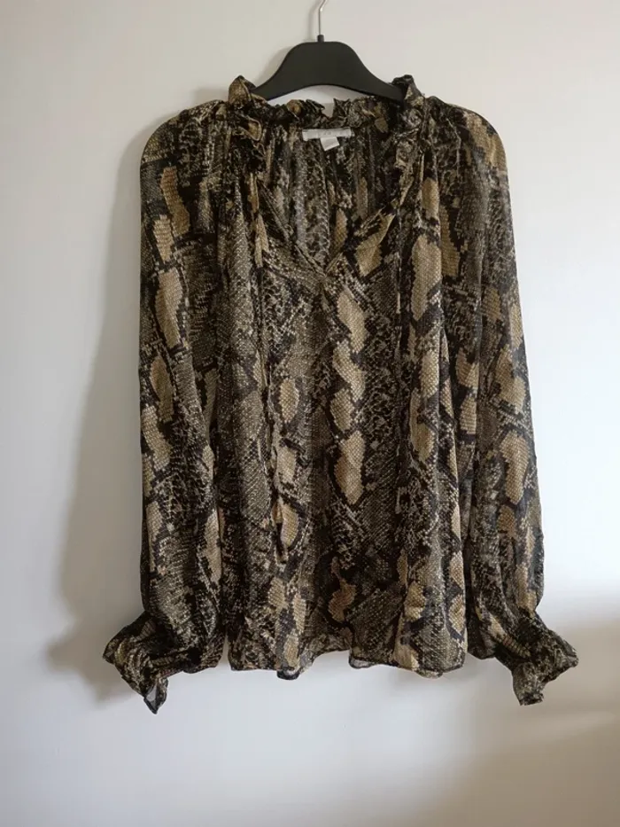 Blouse transparente