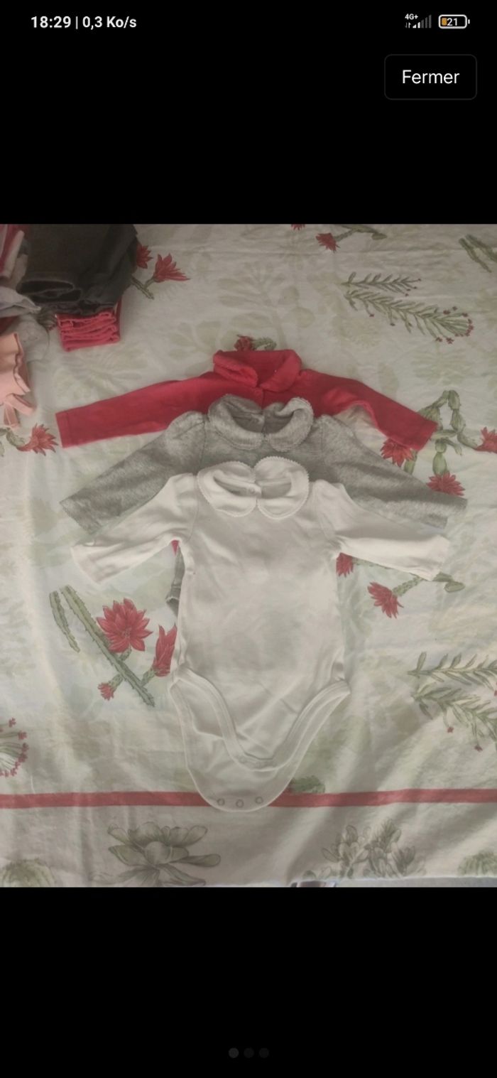 Lot de 3 bodies