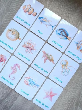 Nomenclature de la mer