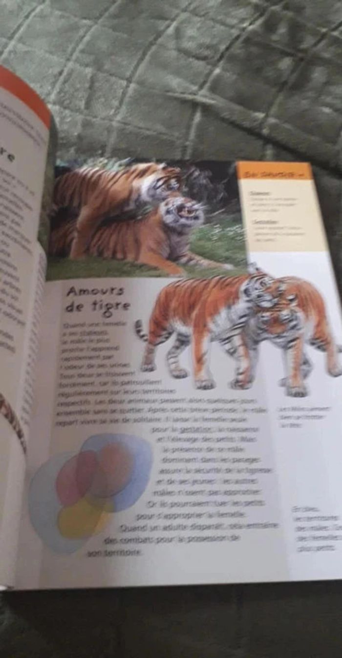 Superbe lot d' ouvrages animalier / Le Tigre / L' éléphant / Jeunesse. - photo numéro 12
