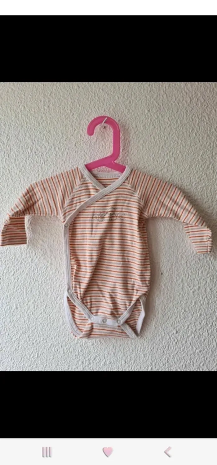 body rayé orange écureuil Grain de blé