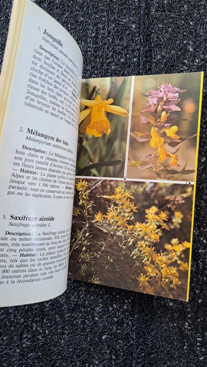 Livre la flore des montagnes - photo numéro 5