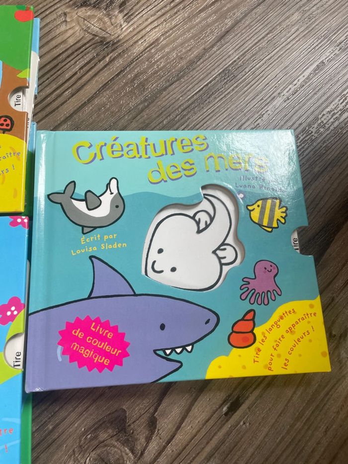 Lot livres couleurs magiques - photo numéro 4