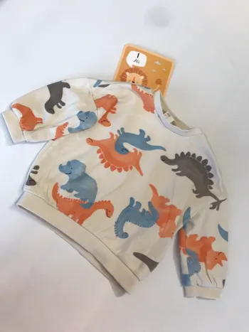 Pull dinosaure