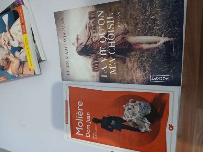 Livre - photo numéro 3