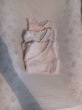 Lot bodies