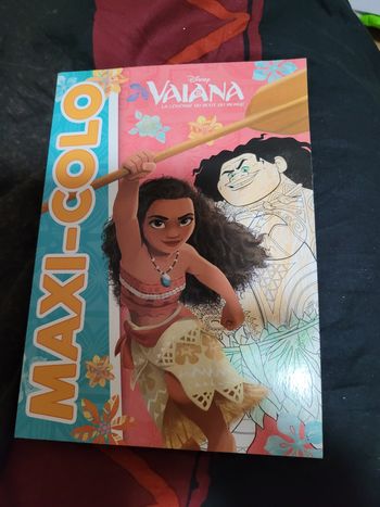 Maxi colis Vaiana