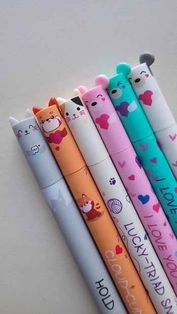 Lot de 6 stylos animaux effaçable