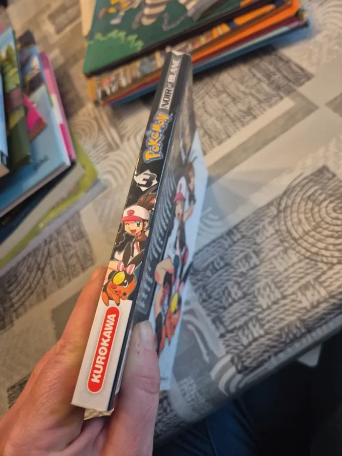 Pokemon noir et blanc - photo numéro 3