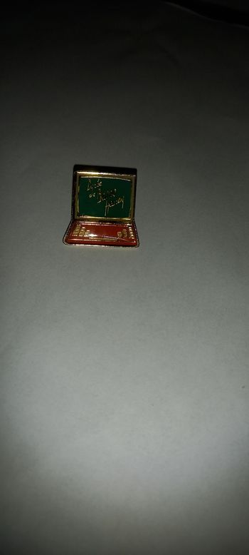Pin's lycée de beyne heussay