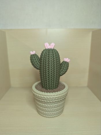 Cactus décoratif style tricot v2