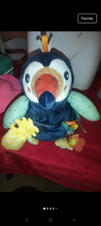 Peluche activités j9