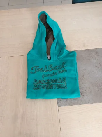 Pull à capuche garçon 3 ans