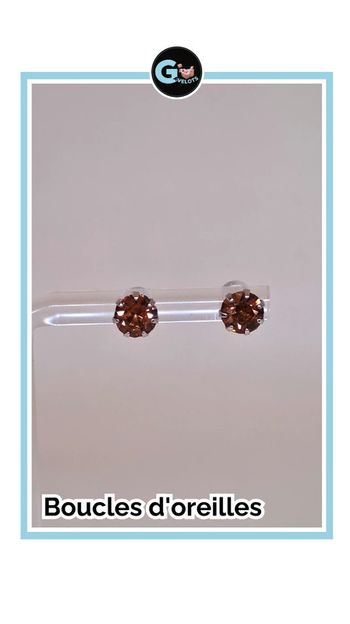 🦚Boucle d'oreilles