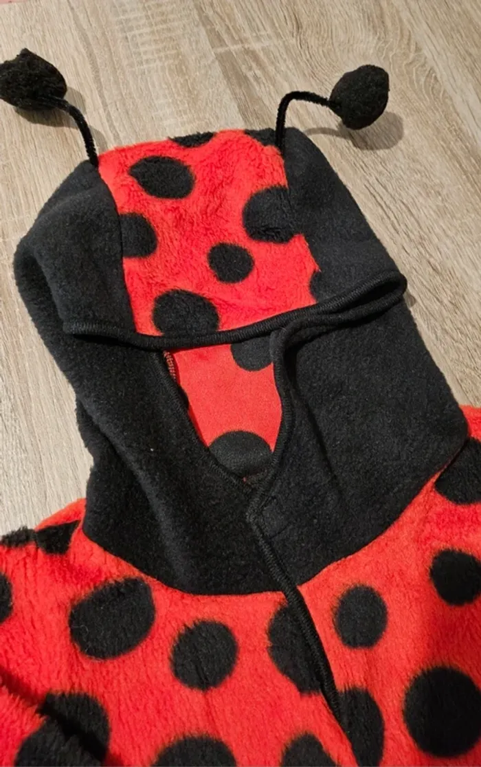Costume coccinelle 18/24 mois - photo numéro 9