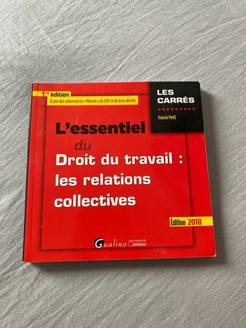 L’essentiel du droit du travail : les relations collectives