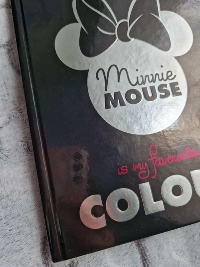 Carnet Disney minnie - photo numéro 3