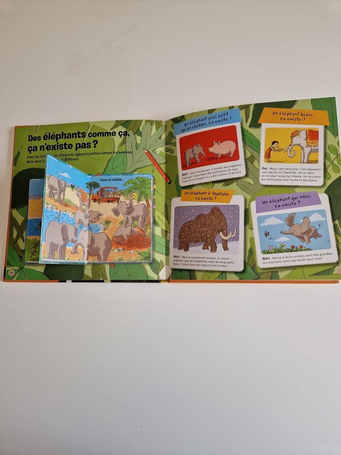 Livre Kiddidoc les éléphants - photo numéro 2