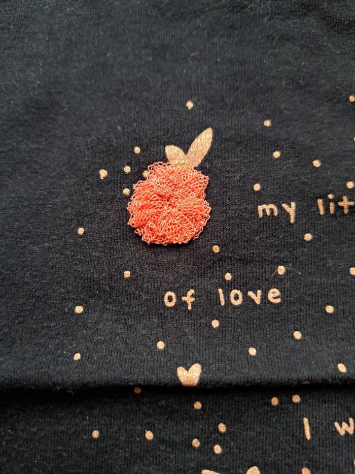 Tee shirt 24 mois - photo numéro 5