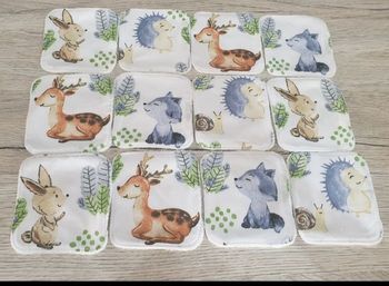 Lingette lavable x12