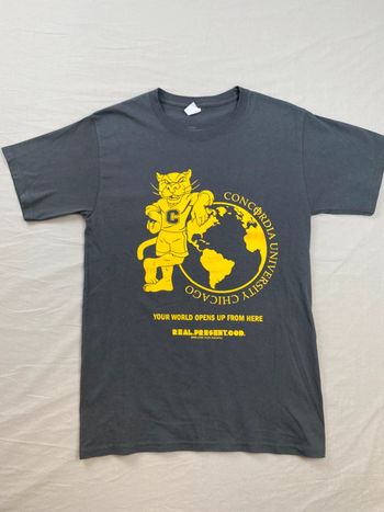 T-shirt imprimé sport USA, homme, été, Gris S