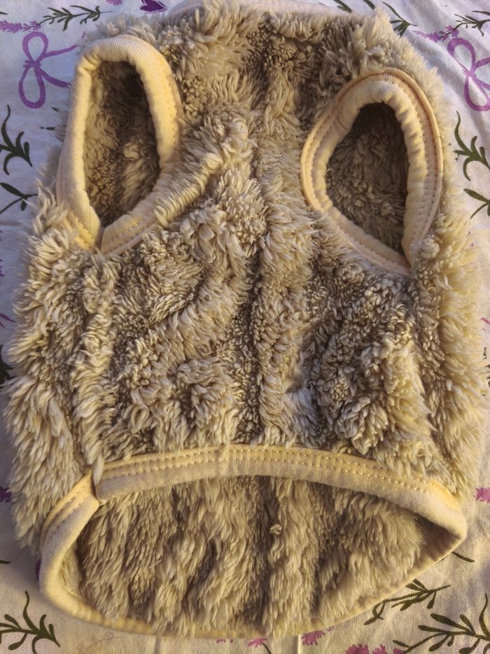 Pull chien - photo numéro 2