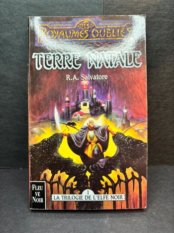 Livre roman fantasy rp donjon les royaumes oubliés terre natale