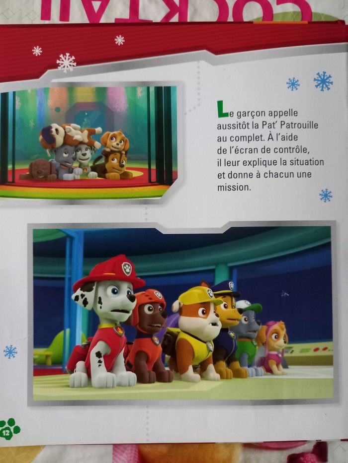 Livre enfant pat patrouille - photo numéro 4