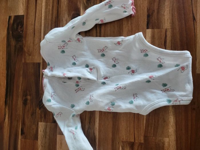 Bodie fille 1mois obaibi - photo numéro 2