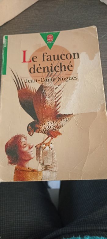 Livre le faucon déniché 