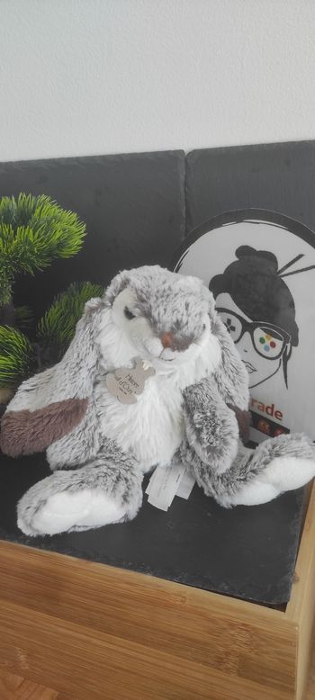 Doudou peluche lapin histoire d'ours blanc gris marron Marius 20 cm ho2296