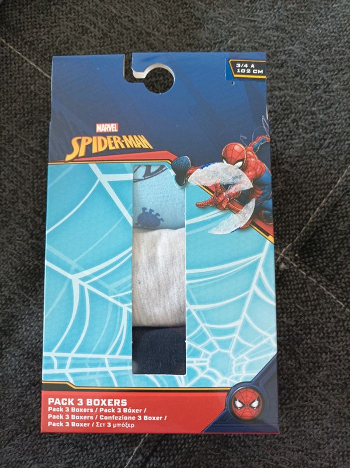 Boxer spiderman