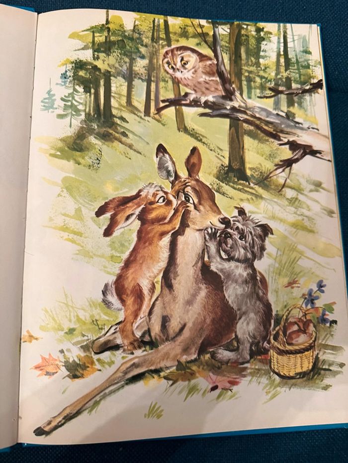 1979 Livre ancien Tim et Poum dans la forêt Pierre Probst (auteur Caroline) album collection - photo numéro 4