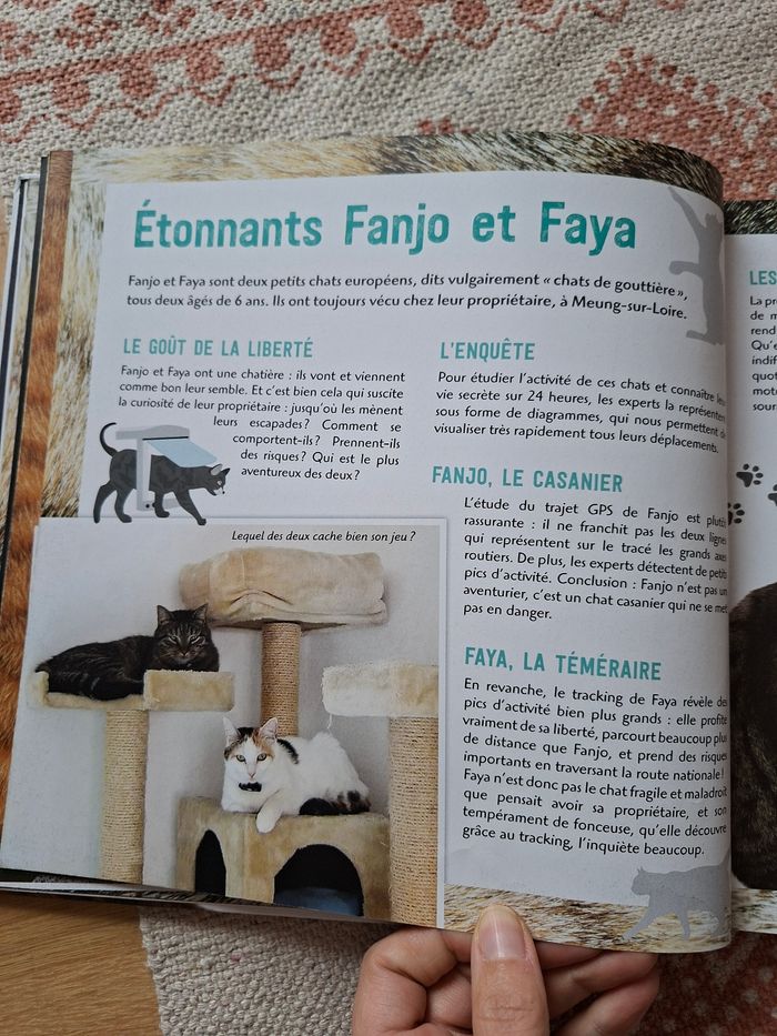 La vie secrète des chats - photo numéro 7