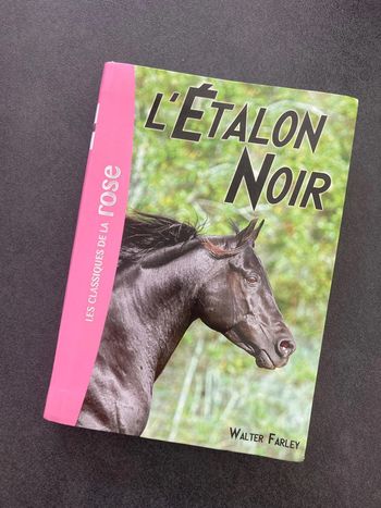 Livre l’étalon noir bibliothèque rose chevaux enfant